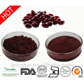 High Grade Haematococcus Extract Powder Astaxanthin 1.5% 2% 3% 5%